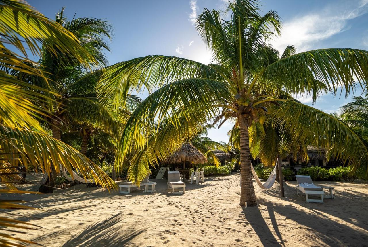 Caribbean Beach Cabanas Placencia Eksteriør billede