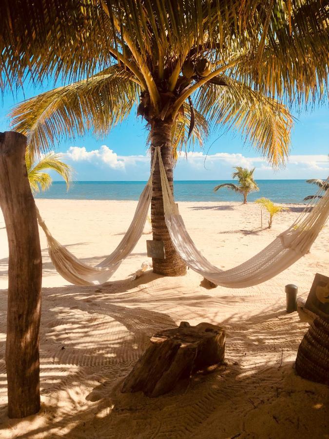 Caribbean Beach Cabanas Placencia Eksteriør billede