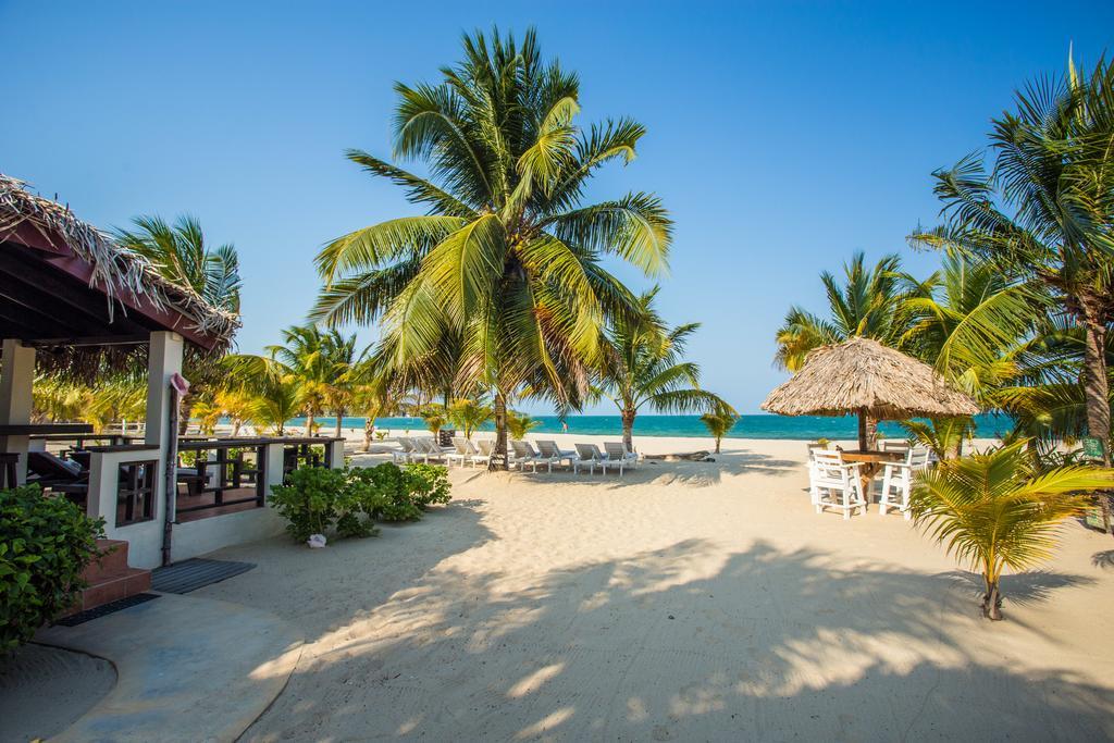 Caribbean Beach Cabanas Placencia Eksteriør billede