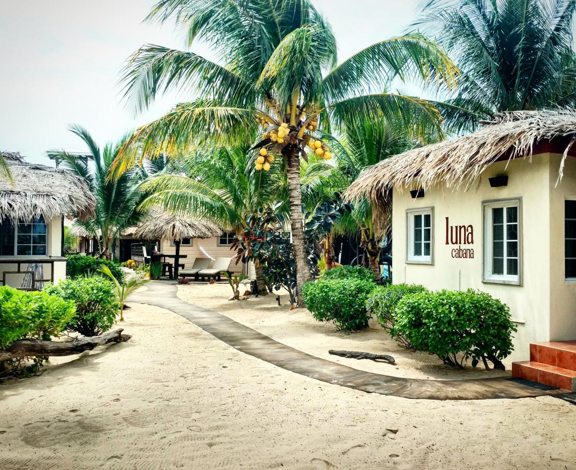 Caribbean Beach Cabanas Placencia Eksteriør billede