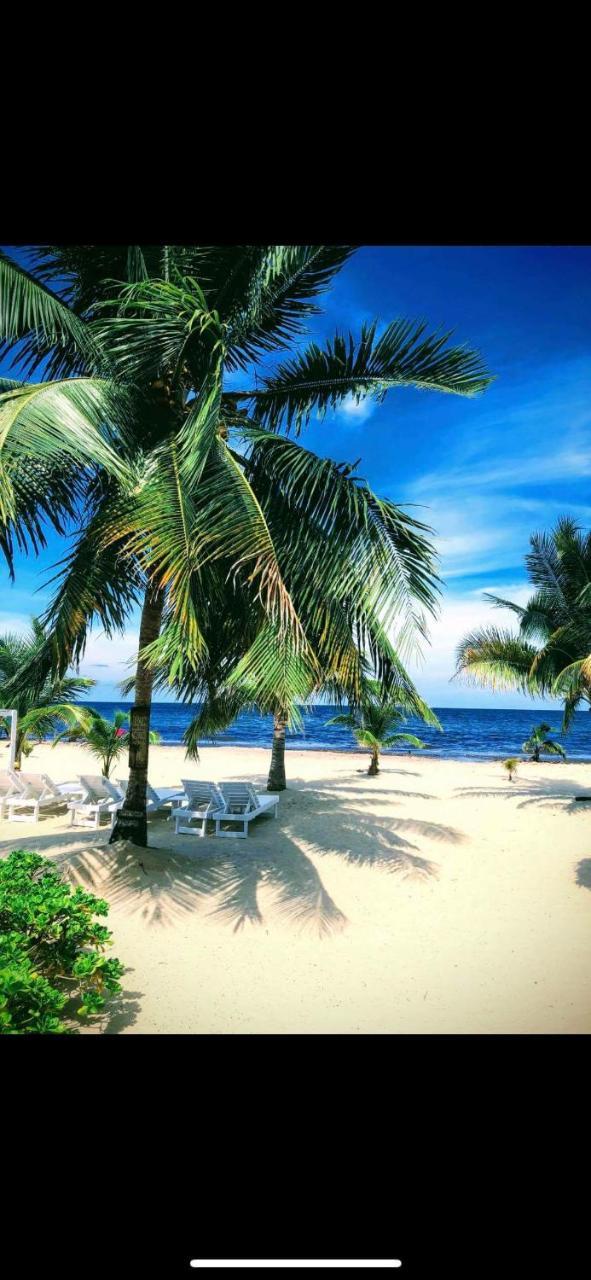 Caribbean Beach Cabanas Placencia Eksteriør billede