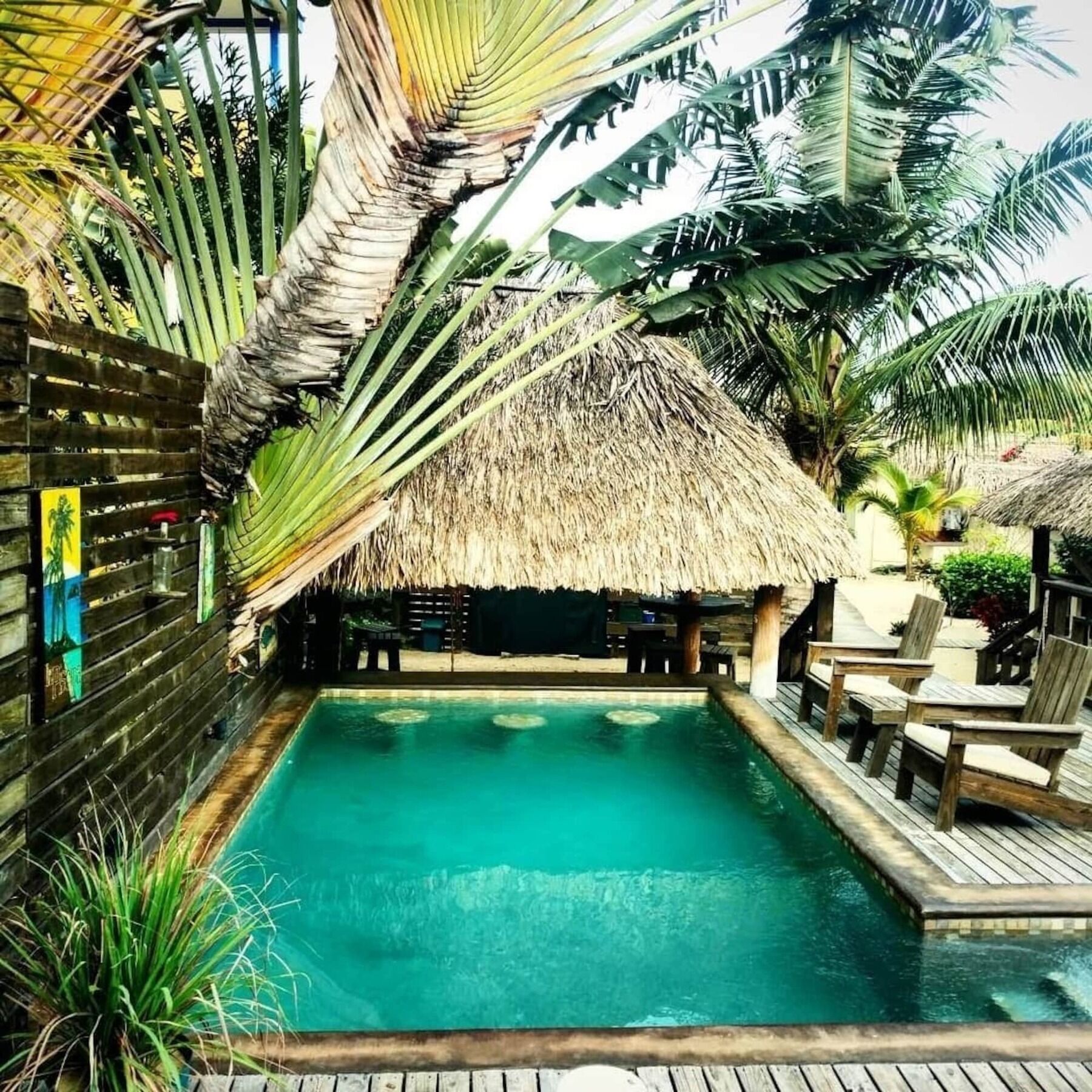 Caribbean Beach Cabanas Placencia Eksteriør billede